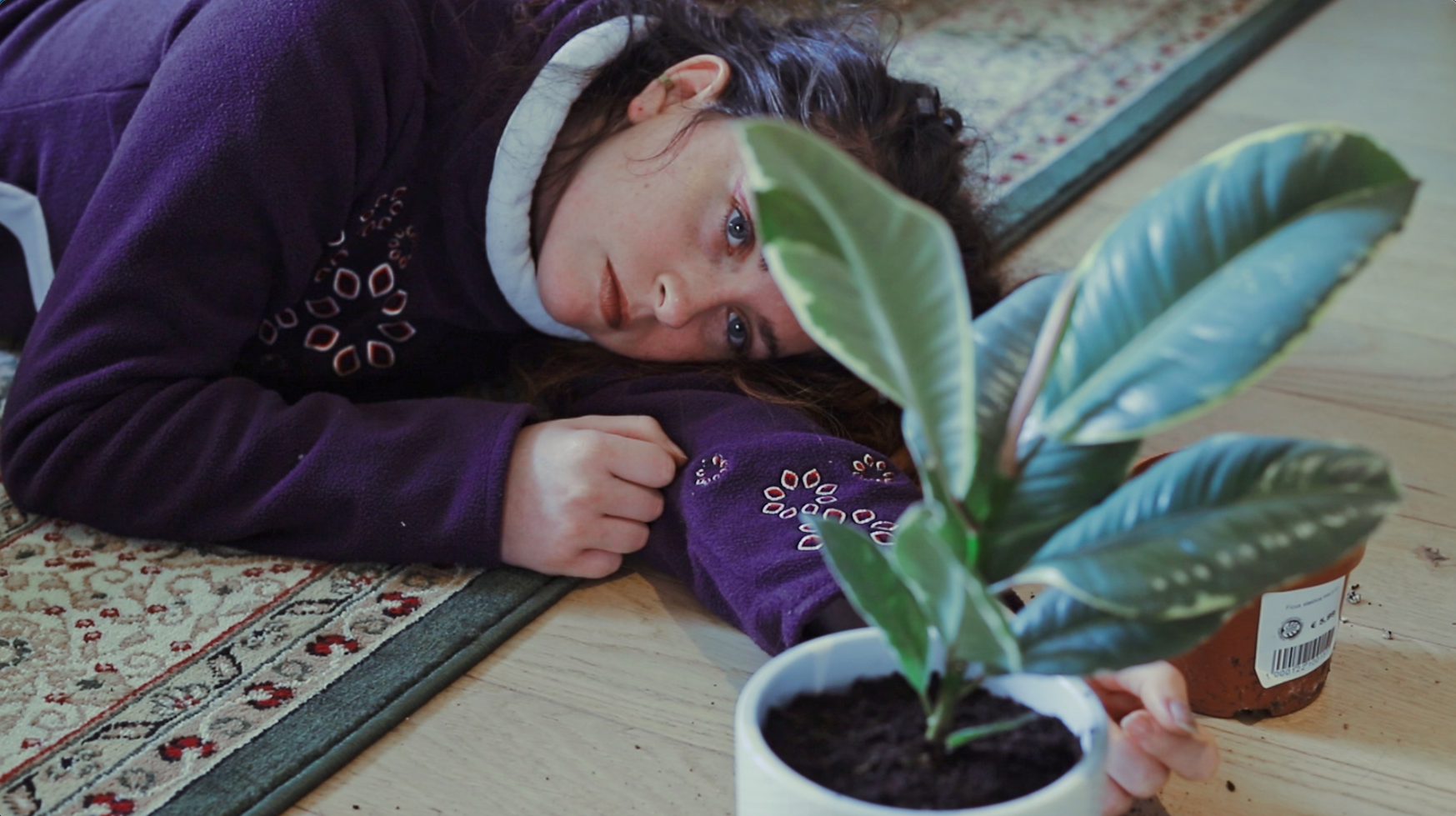 Capture d’écran 2026-01-23 à 12.23.59